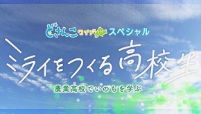どさんこワイド１７９スペシャル　ミライをつくる高校生　農業高校でいのちを学ぶ