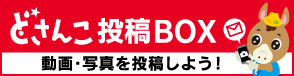 「どさんこ投稿BOX」動画・写真の投稿