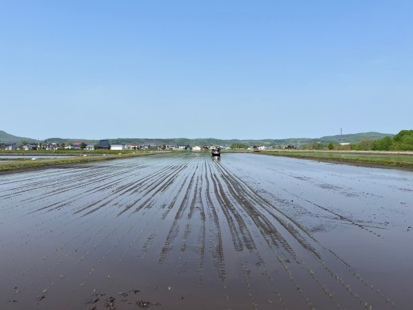 北海道ライブ あさミミ！