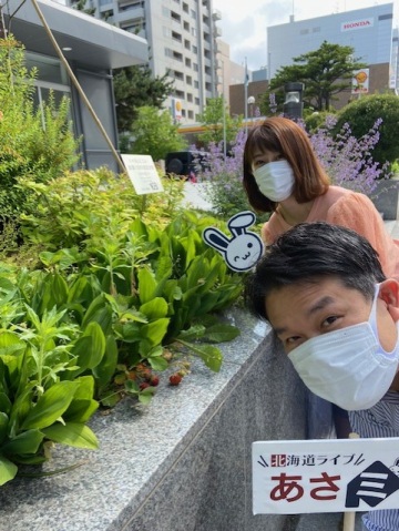 北海道ライブ あさミミ！