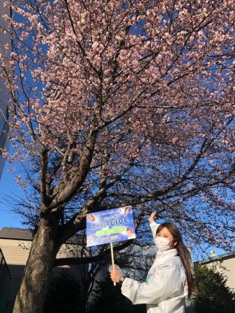 加茂リーダーと桜！