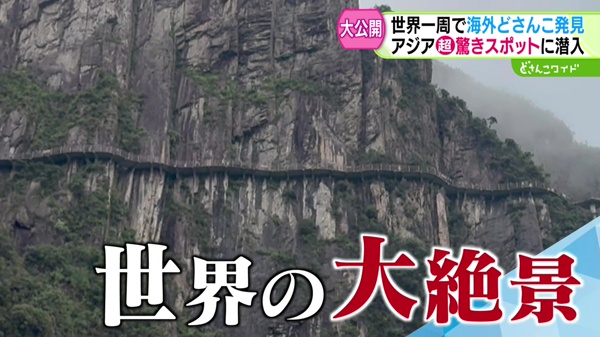 特集