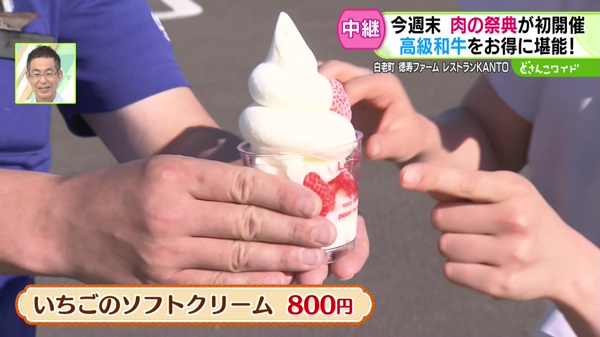 ●いちごのソフトクリーム 800円