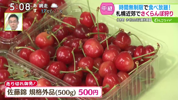 佐藤錦 規格外品(500g) 500円