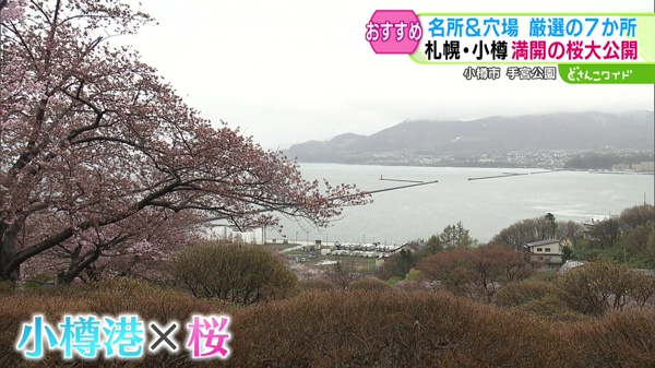 中継