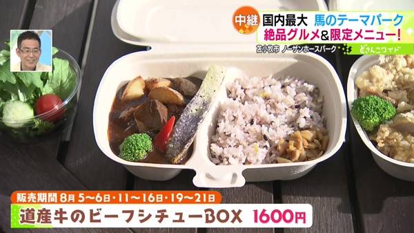 ●道産牛のビーフシチューBOX 1600円