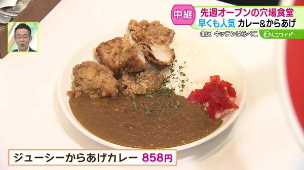 ジューシーからあげカレー 858円