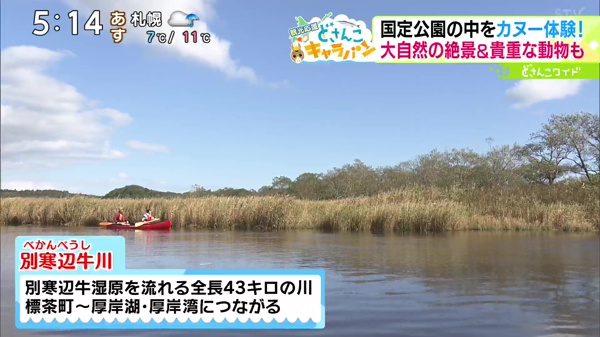 別寒辺牛湿原タンチョウ湿原コース