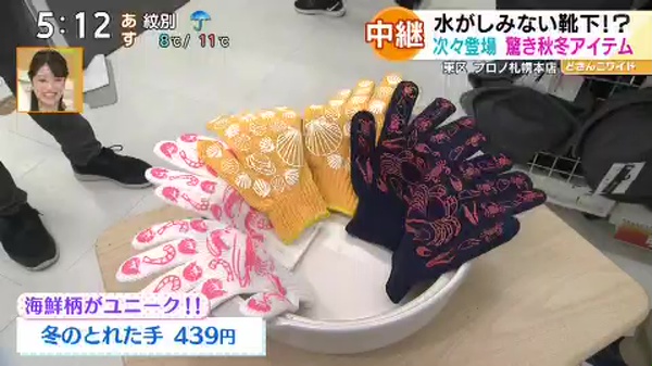 ●冬のとれた手 439円