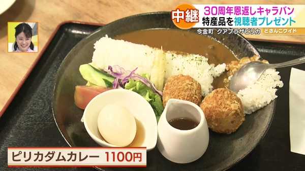 ●ピリカダムカレー 1100円