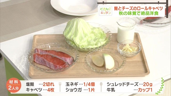 材料