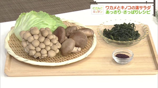 材料