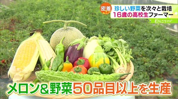 ときめき野菜通信〜野菜を愛する高校生ファーマー