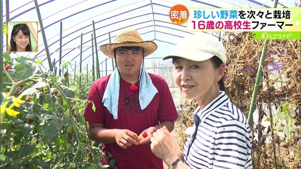 ときめき野菜通信〜野菜を愛する高校生ファーマー