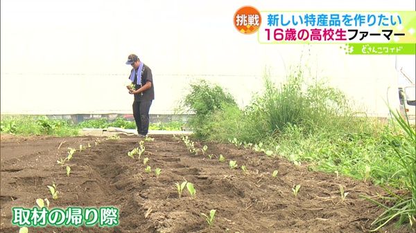 ときめき野菜通信〜野菜を愛する高校生ファーマー