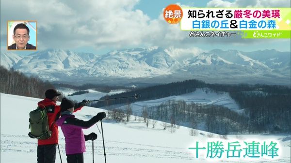 どさんこネイチャー“自然と人が紡ぐ美瑛の冬景”