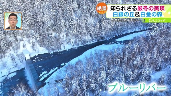 どさんこネイチャー“自然と人が紡ぐ美瑛の冬景”