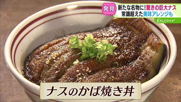 ナスのかば焼き丼