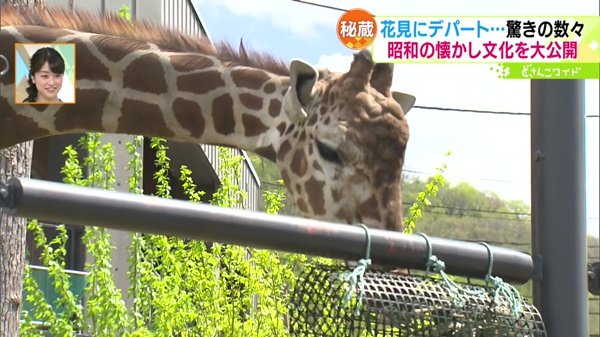 円山動物園