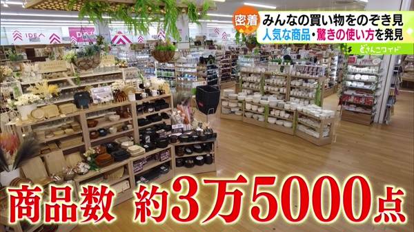 ダイソー 厚別東店