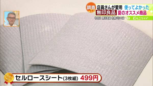 ●セルロースシート(3枚組) 499円