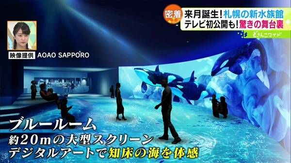 テレビ初公開も！都市型エンタメ水族館 仕掛人に密着