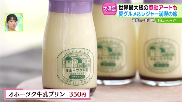 オホーツク牛乳プリン 350円