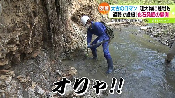 化石発掘のお手伝い