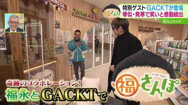 奇跡のコラボ！GACKTさんと琴似・発寒を福さんぽ