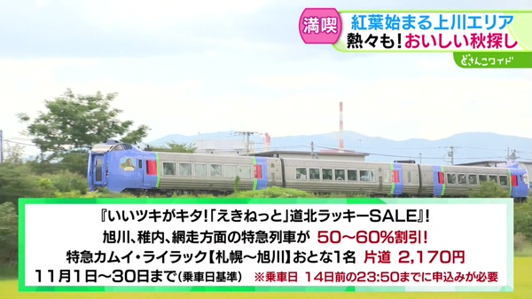 特集