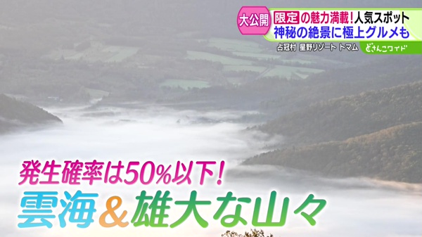 特集
