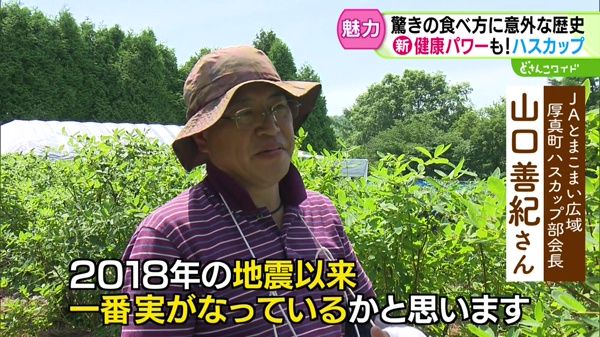 特集