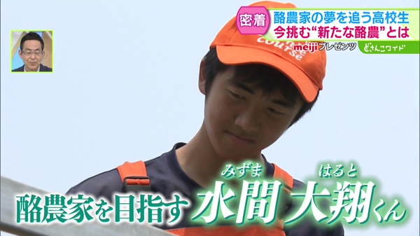 特集