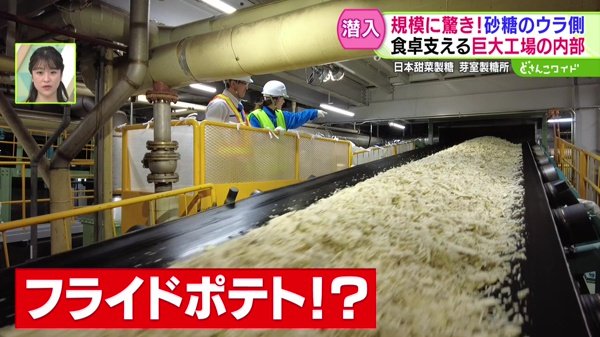 センニュウ！国内最大級！砂糖製造工場