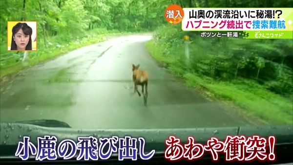 ハプニングに遭いながらも山奥の秘湯へ！