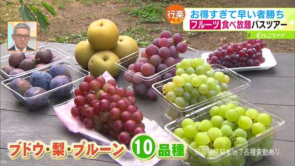 クラブツーリズム「余市・旬のフルーツ狩り食べ放題 たっぷり120分」