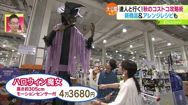 ●ハロウィン魔女 高さ約305cm モーションセンサー付 4万3680円