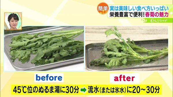 年末年始 春菊をもっとおいしく！プロのワザ