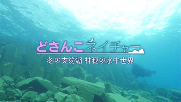 どさんこネイチャー“冬の支笏湖の水中世界”