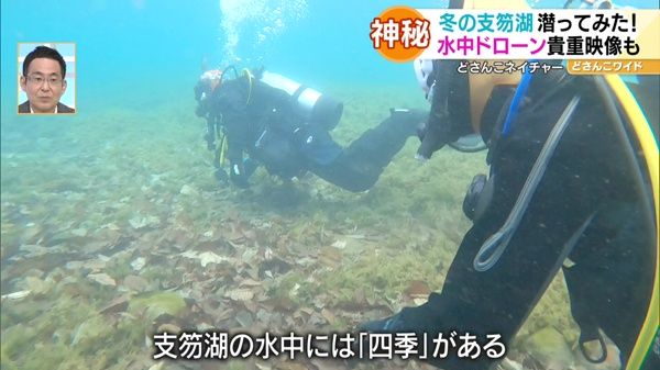 どさんこネイチャー“冬の支笏湖の水中世界”