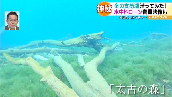 どさんこネイチャー“冬の支笏湖の水中世界”