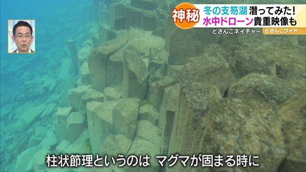 どさんこネイチャー“冬の支笏湖の水中世界”