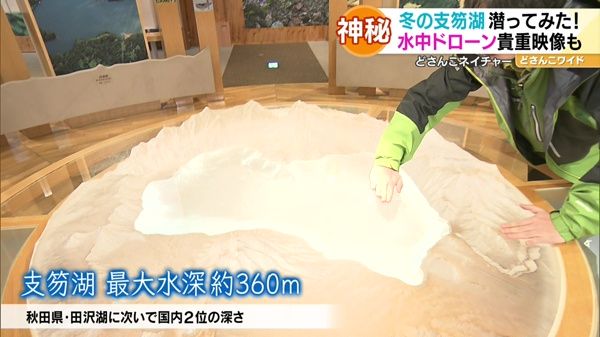 どさんこネイチャー“冬の支笏湖の水中世界”