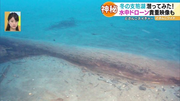 どさんこネイチャー“冬の支笏湖の水中世界”