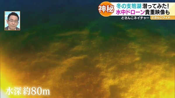 水深およそ80m