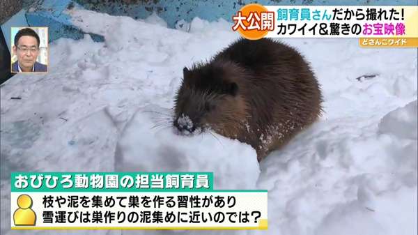 祝日スペシャル企画！行ったつもりで動物園＆水族館