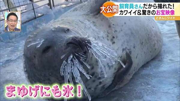 祝日スペシャル企画！行ったつもりで動物園＆水族館