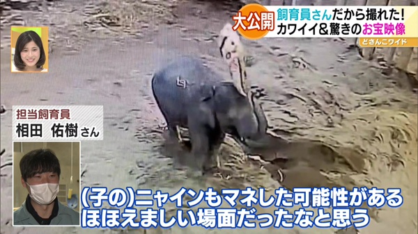 祝日スペシャル企画！行ったつもりで動物園＆水族館