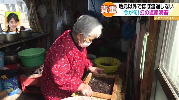 手摘みで行われる松前の岩海苔漁