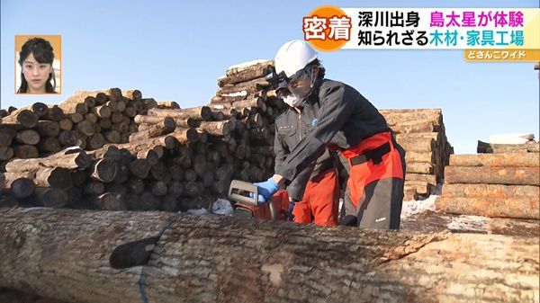 島太星の北海道お仕事トコトン体験記！東川町の製材業・家具職人